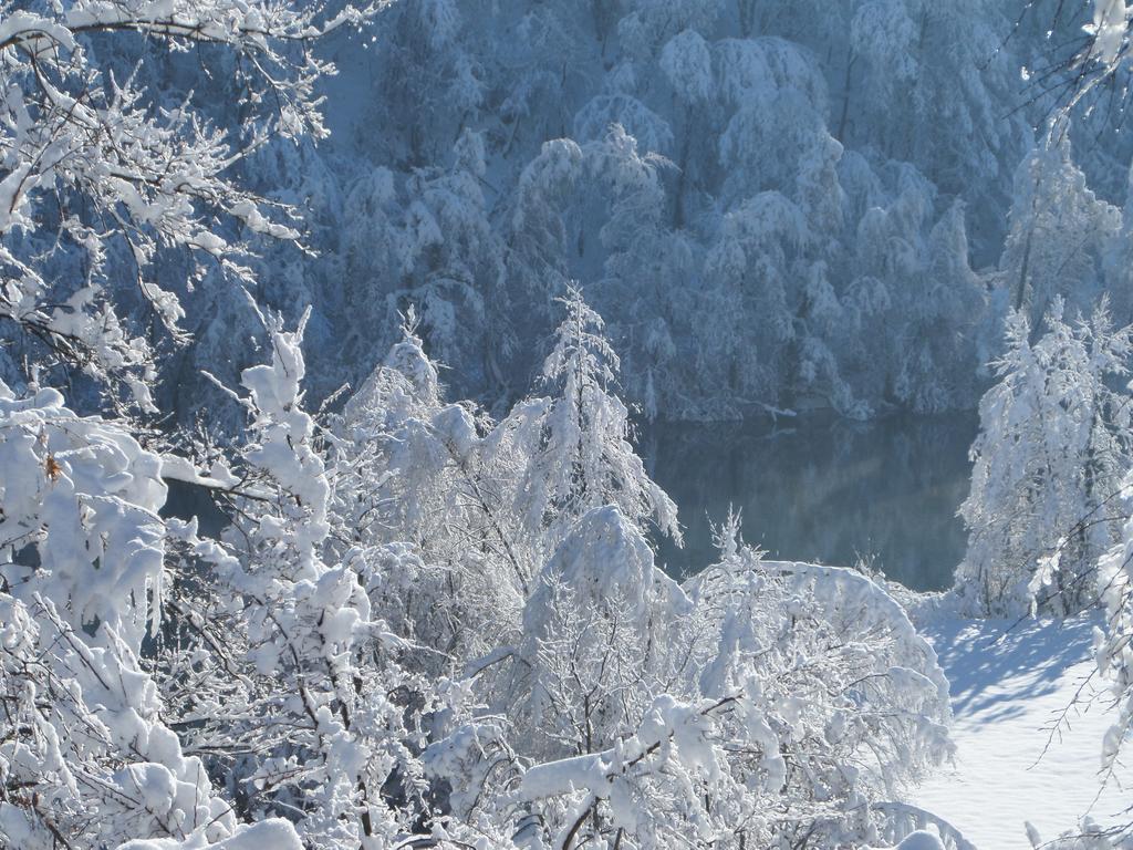 Holiday Home Mreznica Gornji Zvecaj ห้อง รูปภาพ