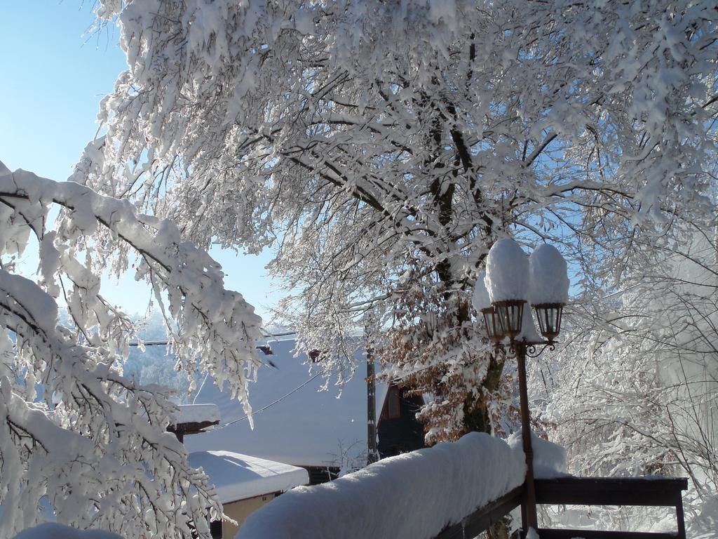Holiday Home Mreznica Gornji Zvecaj ห้อง รูปภาพ